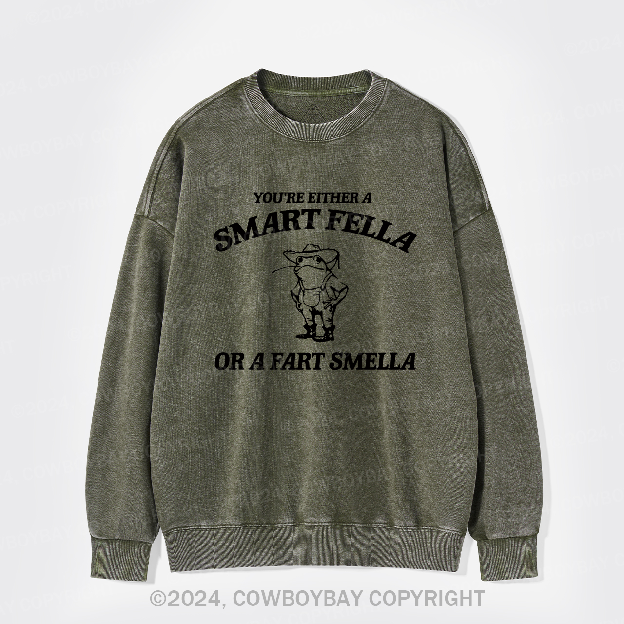 Are You A Smart Fella Or Fart Smella Washed Sweatshirts