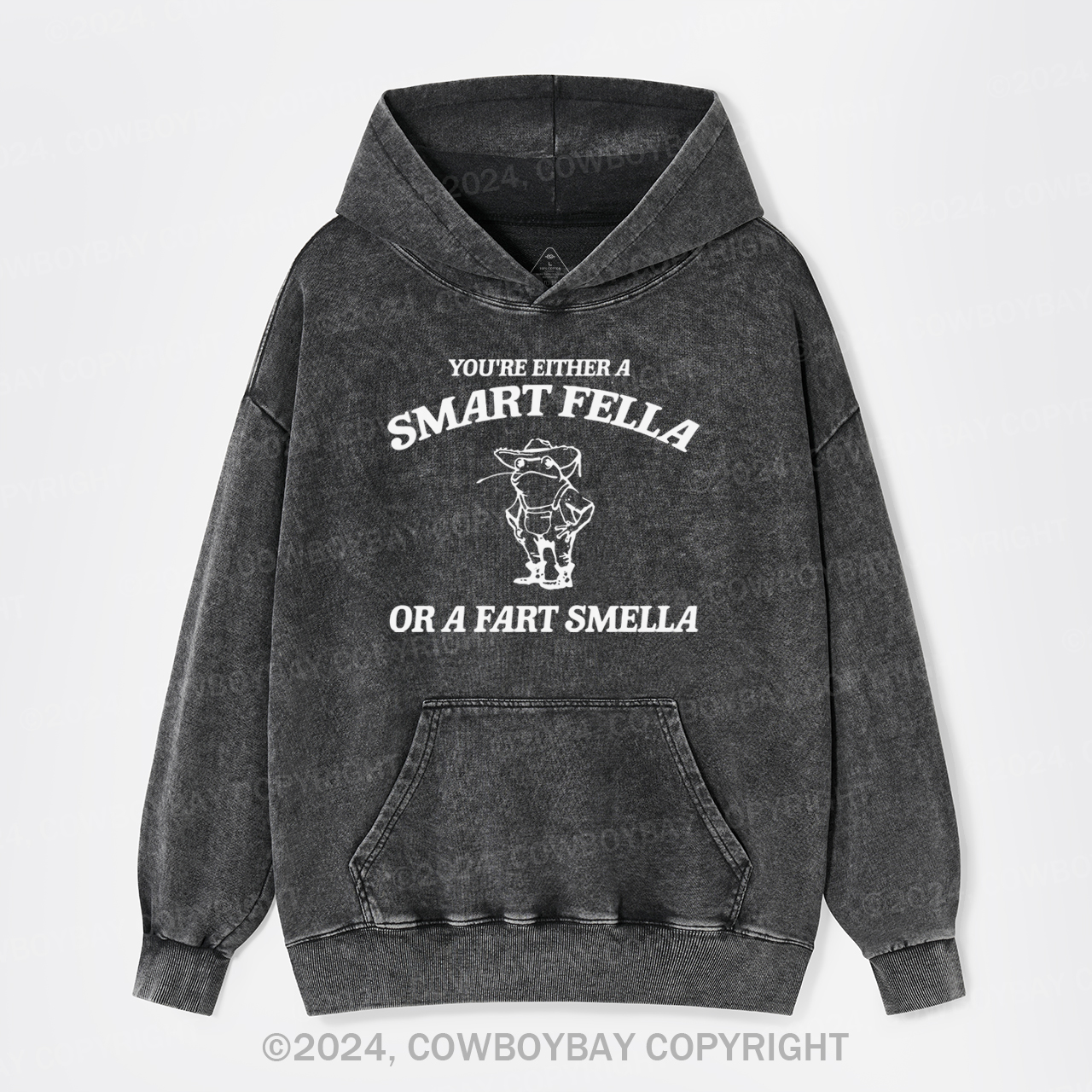 Are You A Smart Fella Or Fart Smella Garment-Dye Hoodies