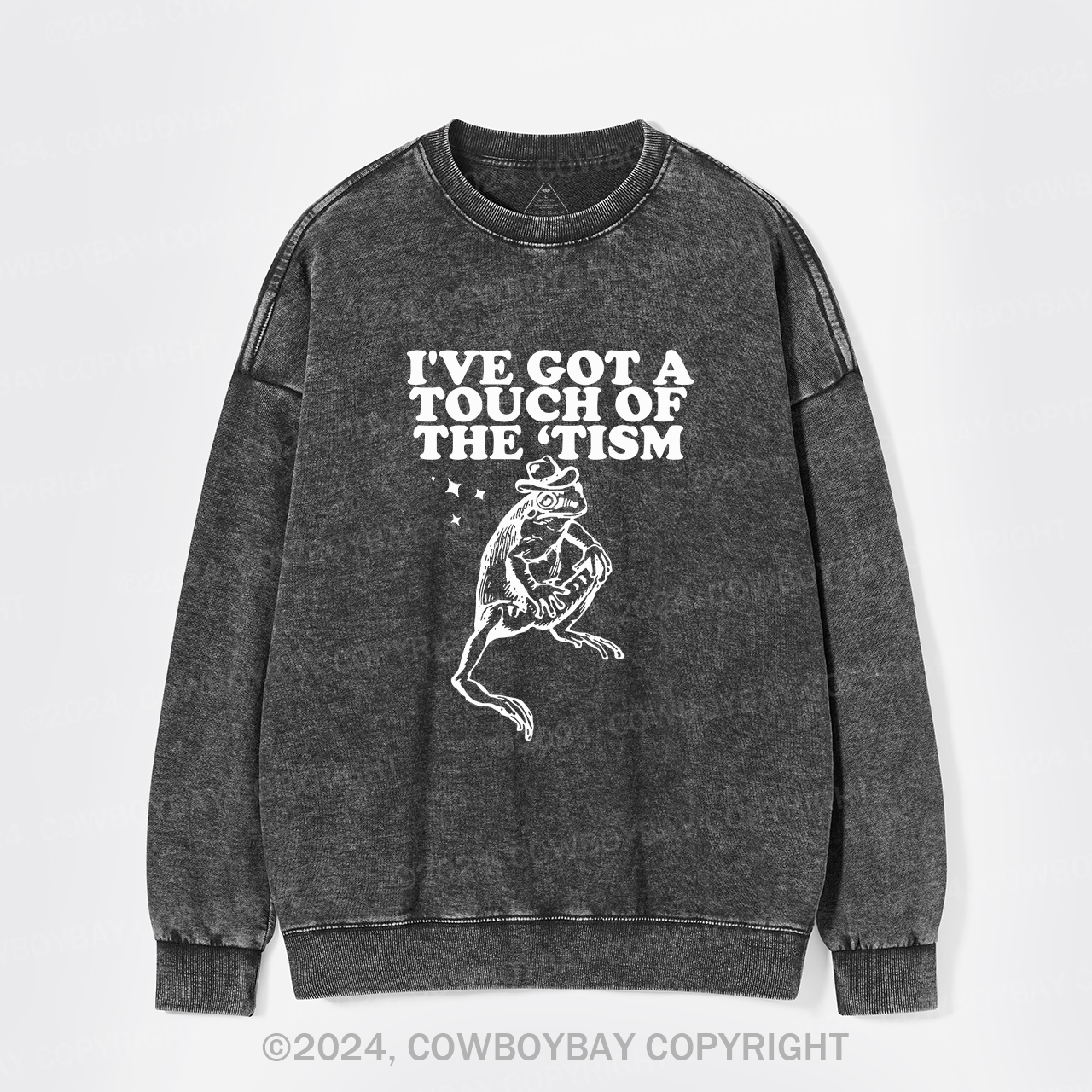 I've Got A Touch Of The Tism Washed Sweatshirts