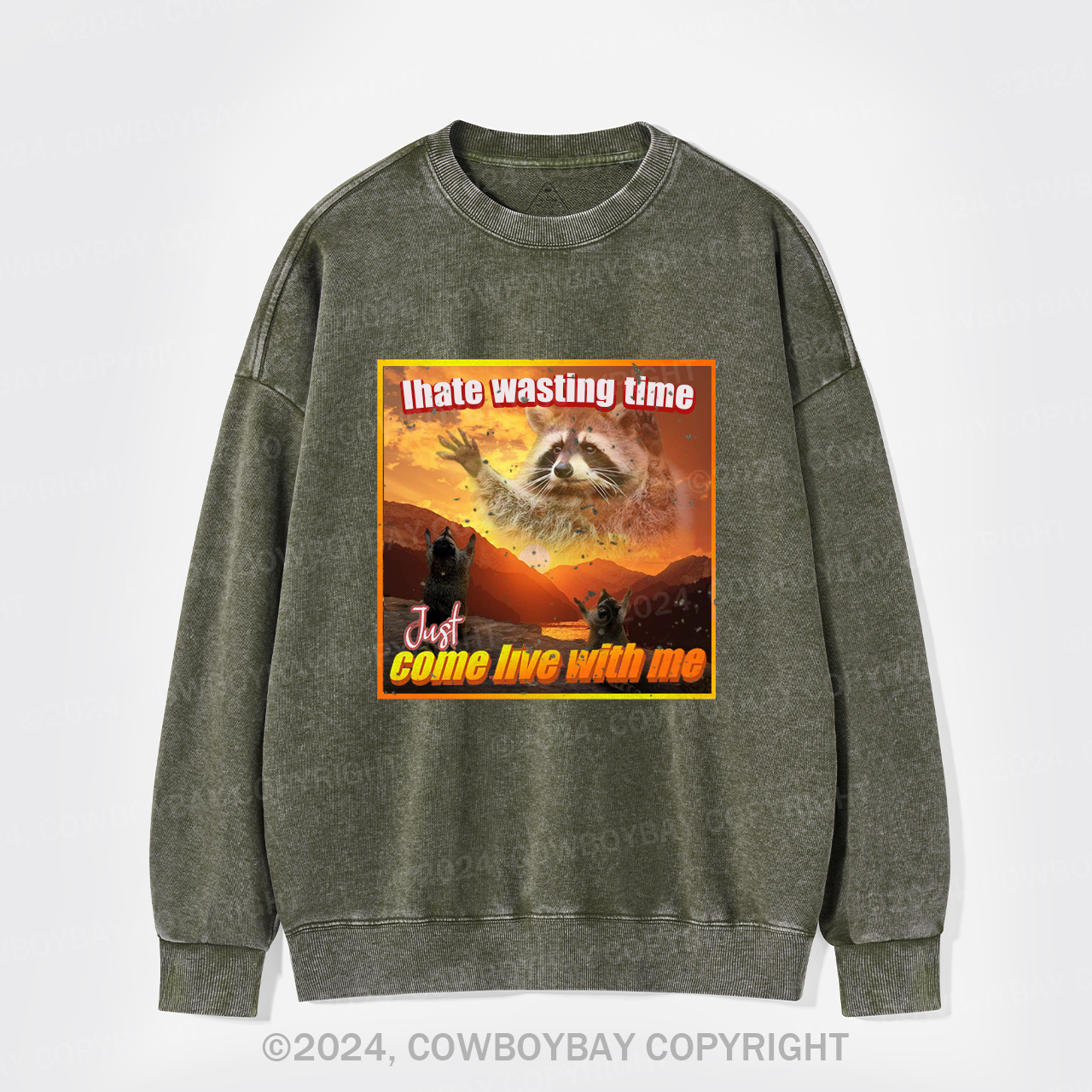 I Hate Wasting Time Just Come Live With Me Washed Sweatshirts