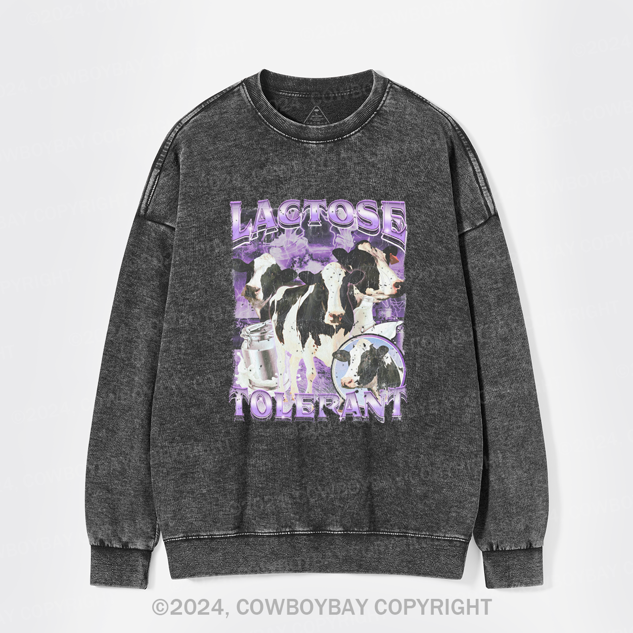 Lactose Tolerant Washed Sweatshirts