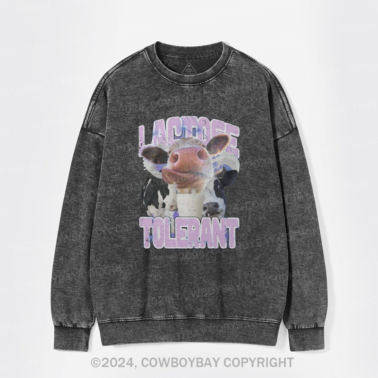 Lactose Tolerant Vintage Washed Sweatshirts