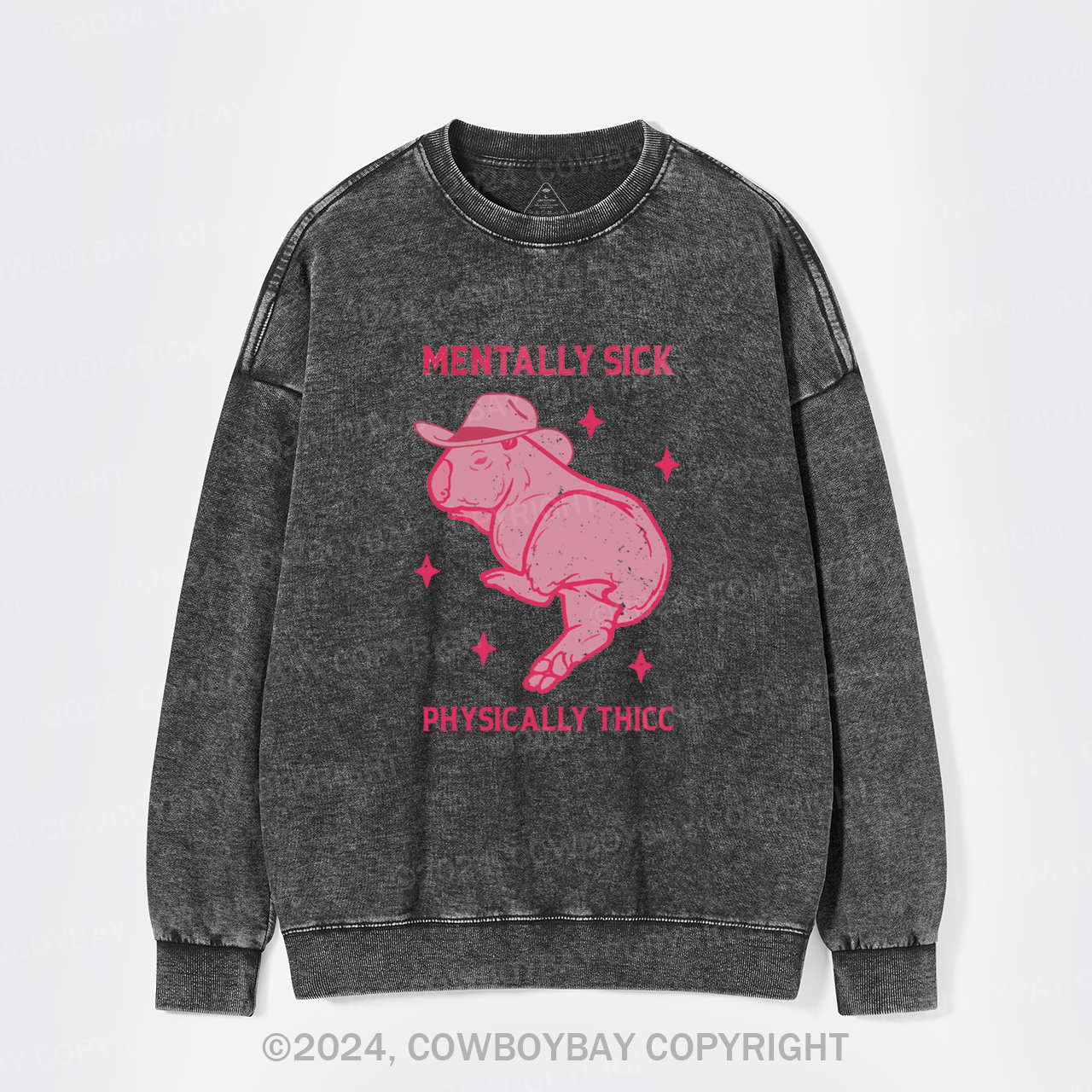 Mentally Sick Physically Thicc Capybara Washed Sweatshirts