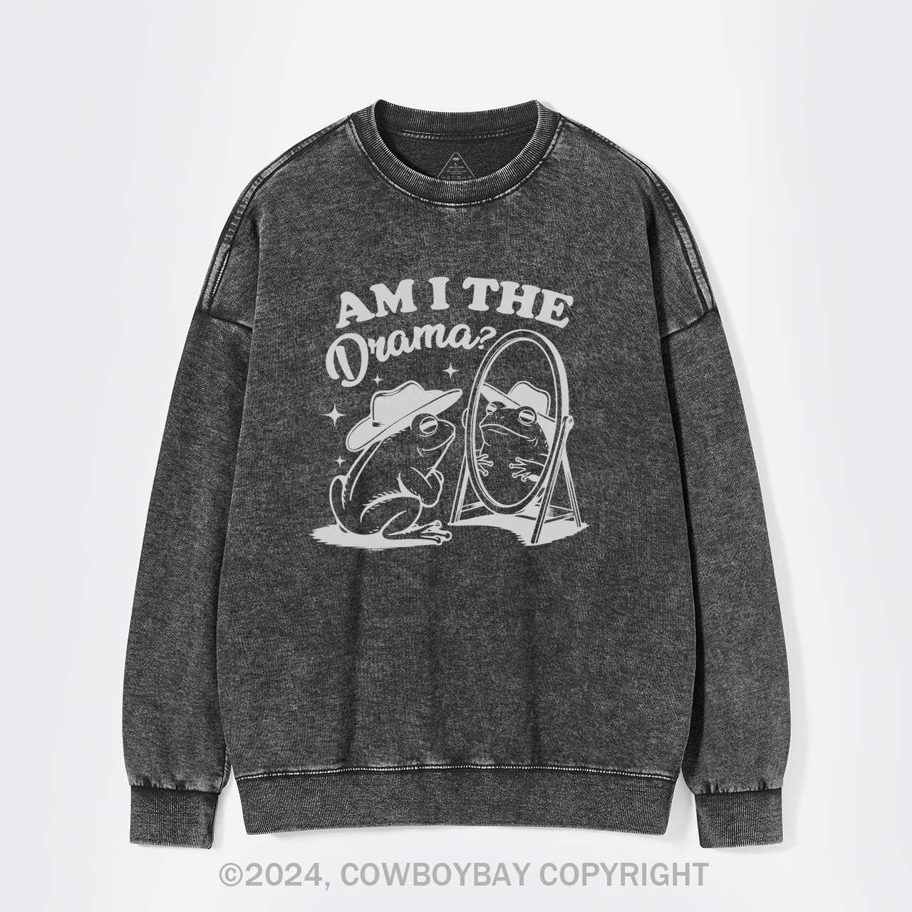 Am I The Drama Washed Sweatshirts