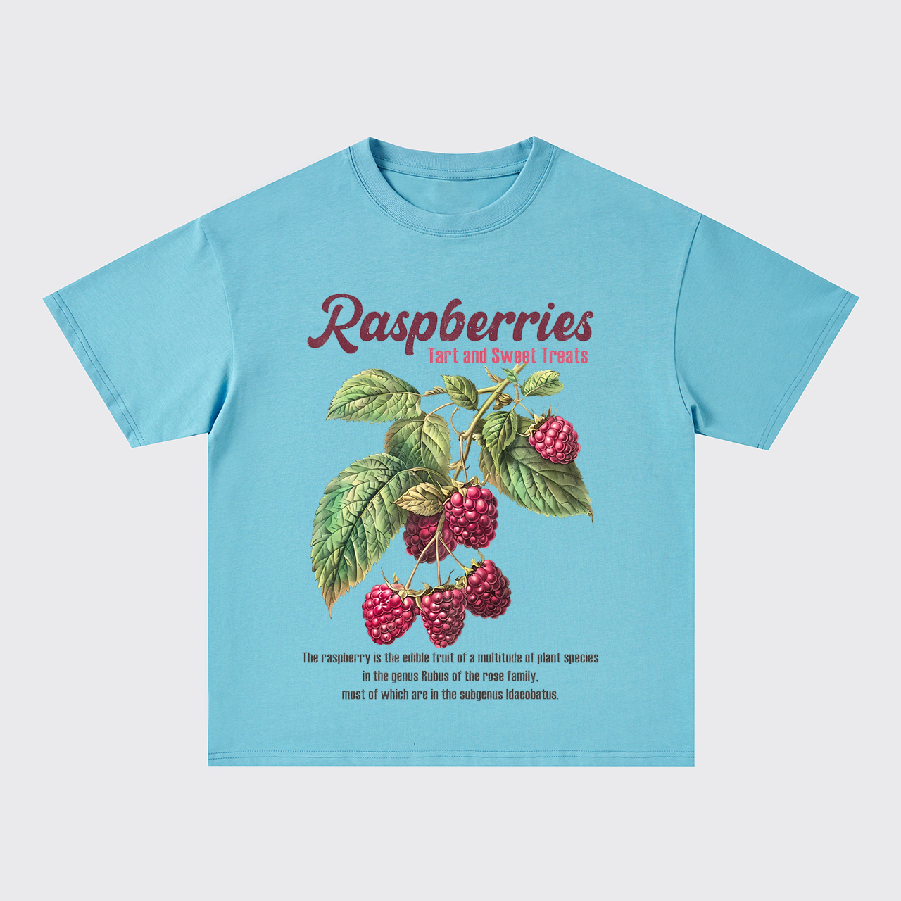 Retro Style-Fresh Raspberries Oversize T-Shirts