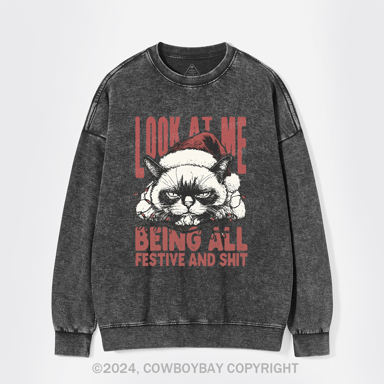 Funny Christmas Cat Washed Sweatshirts