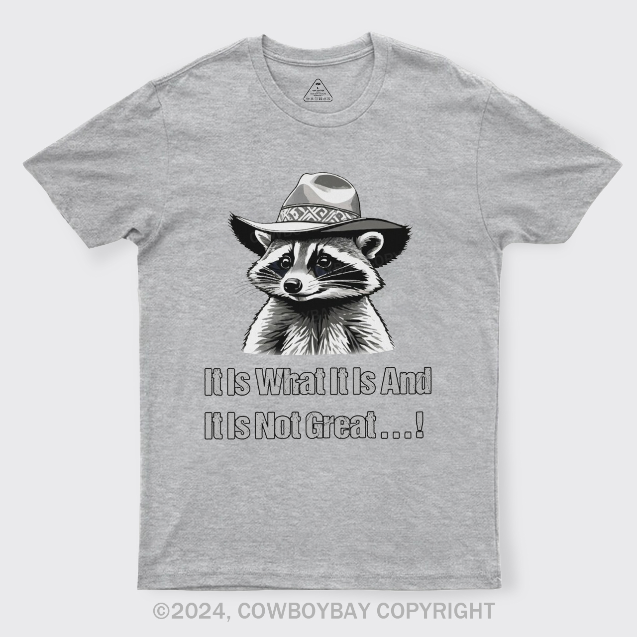 It Is What It Is And It Is Not Great T-Shirts