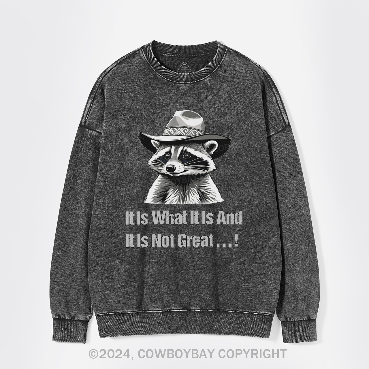 It Is What It Is And It Is Not Great Washed Sweatshirts