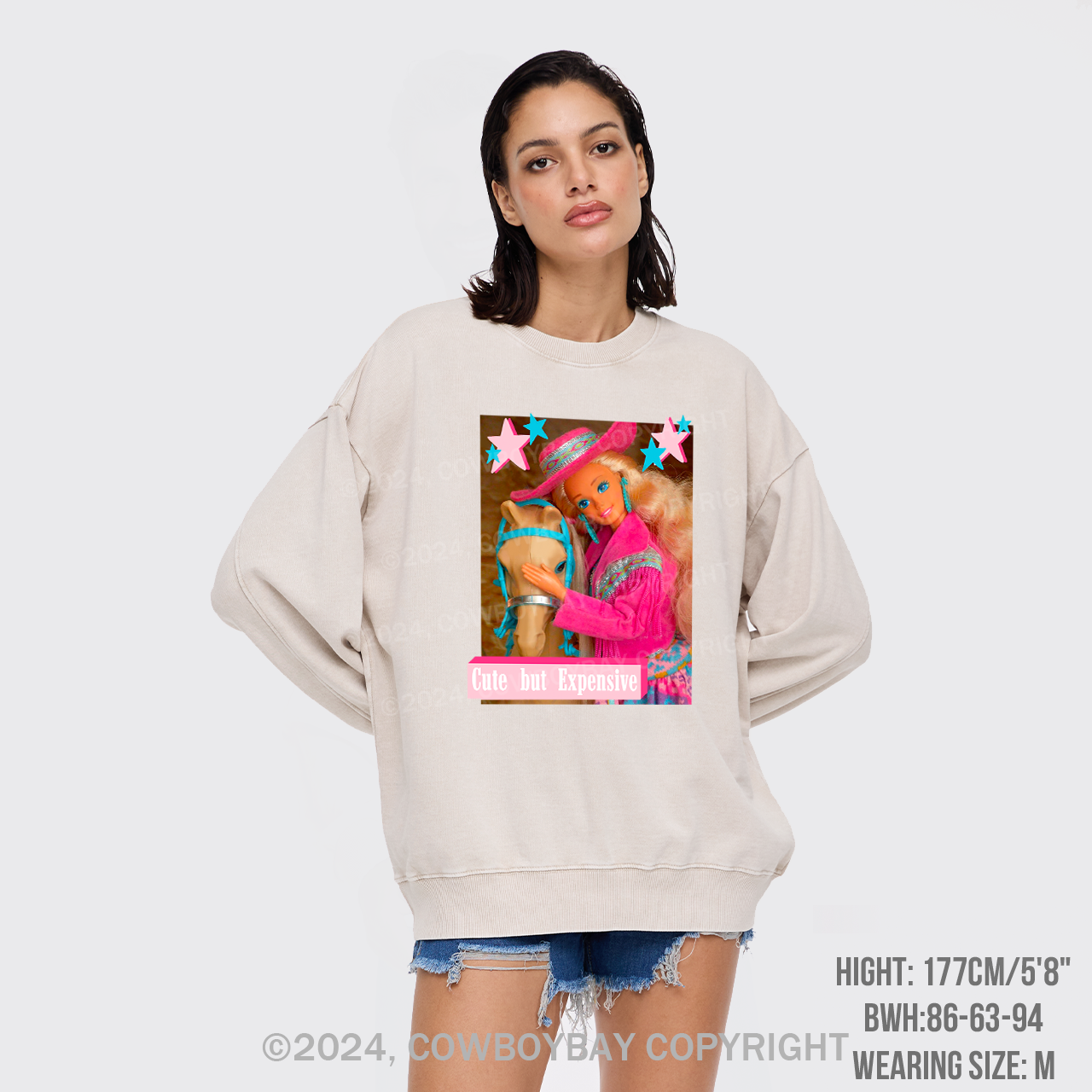 Cute But Expensive Retro Cowboy Washed Sweatshirts