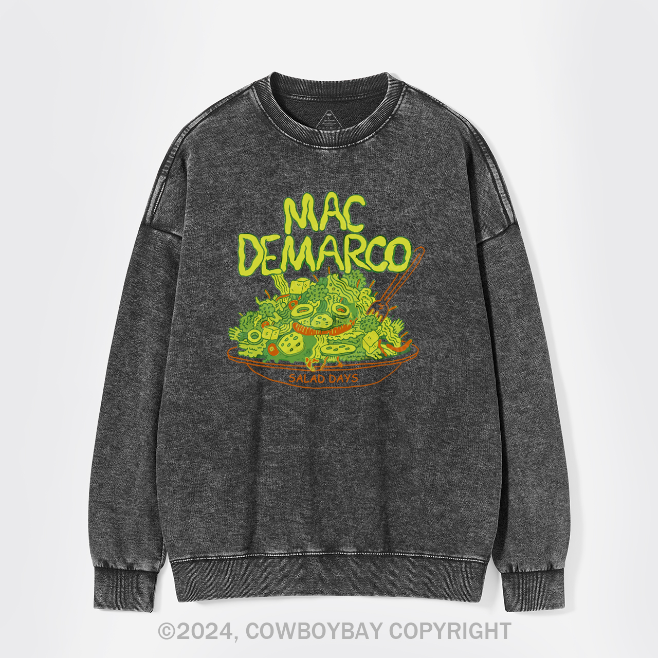 Salad Days Washed Sweatshirts