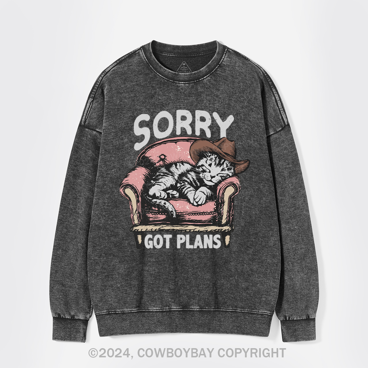Sorry Got Plans Washed Sweatshirts