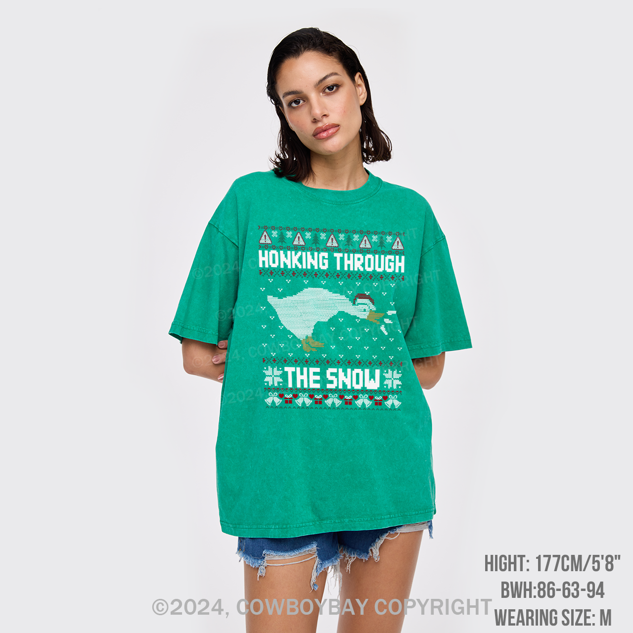 Honking Through The Snow Garment-dye Tees