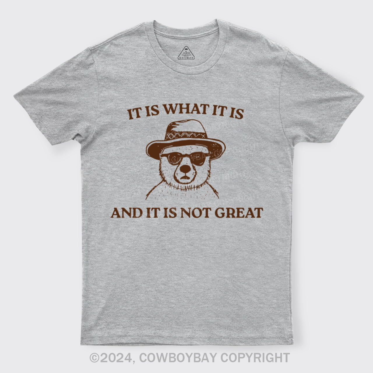 It Is What It Is And It Is Not Great T-Shirts