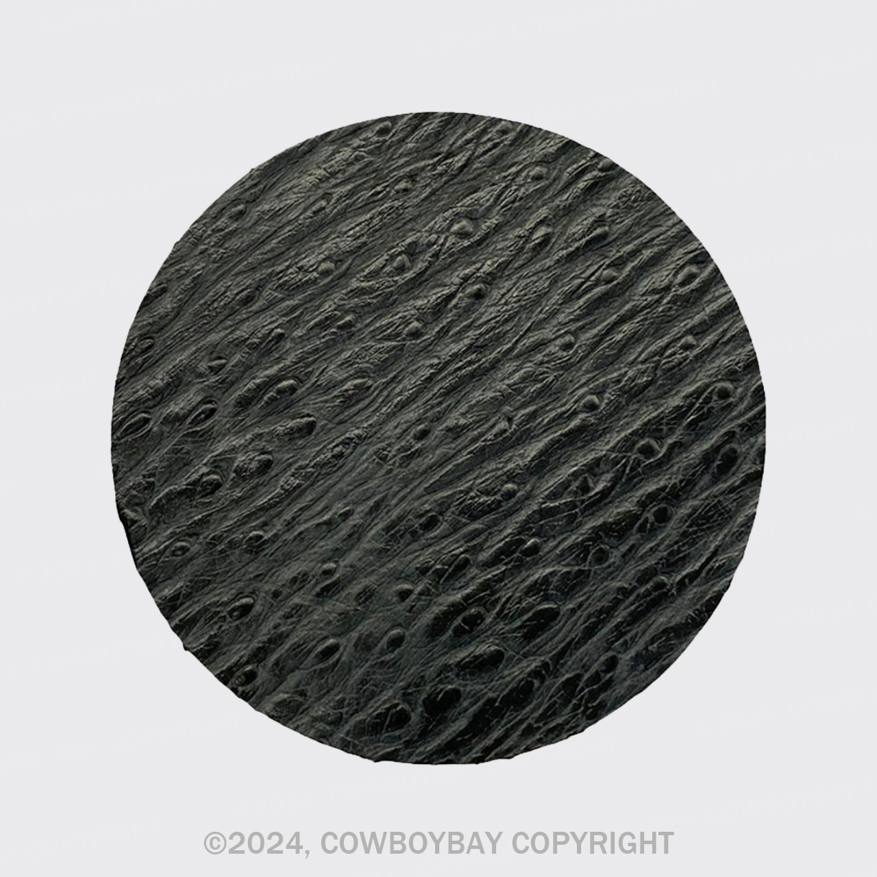 Black Ostrich Pattern Coaster