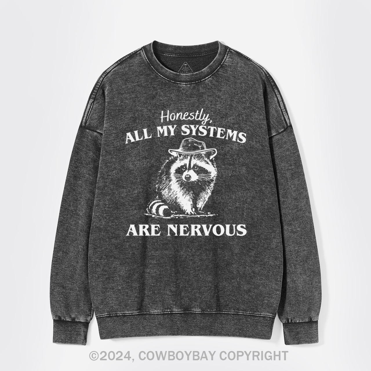 Actually All My Systems Are Nervous Washed Sweatshirts