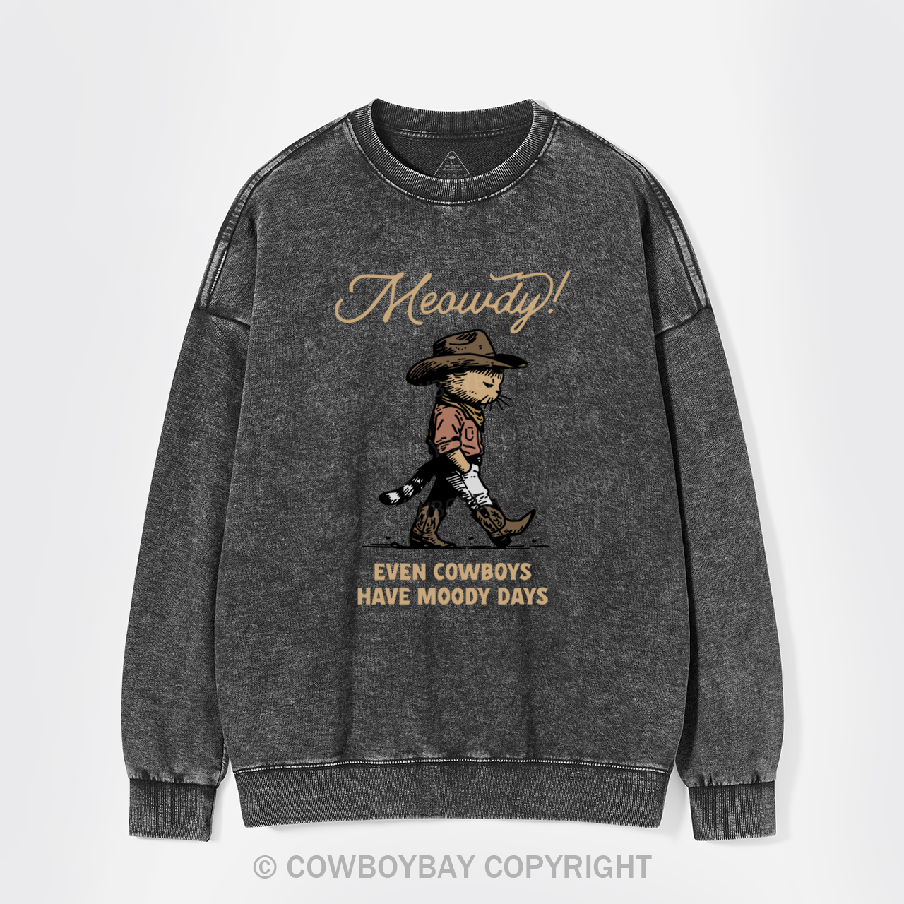 Sad Cat Cowboy Washed Sweatshirts