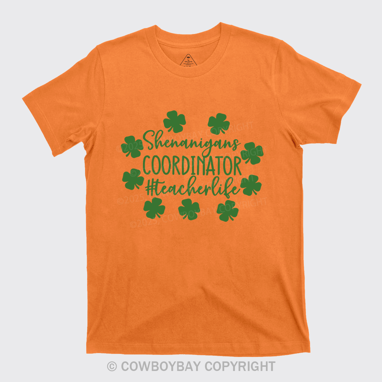 Shenanigans Coordinator Teacherlife T-Shirts