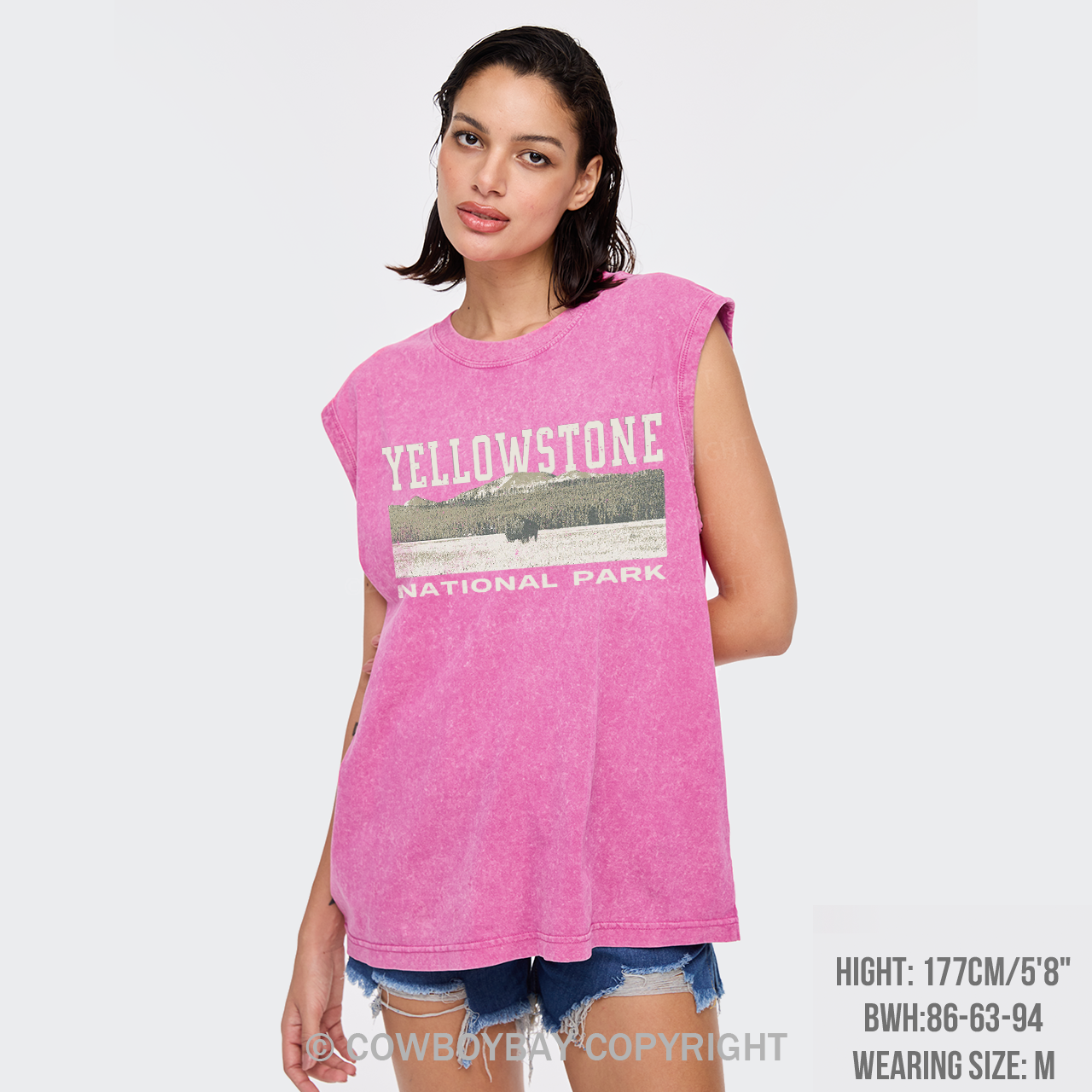 Buffalo Sunset Washed Tanks