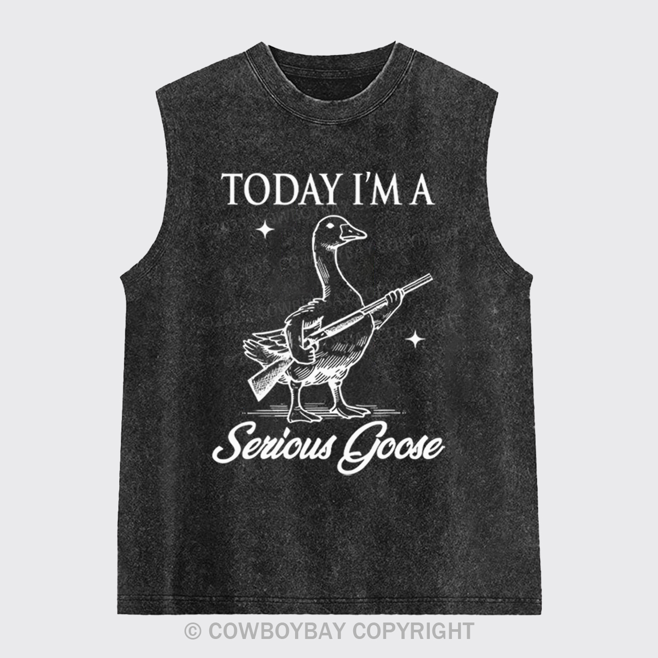 Today I'm Serious Goose Washed Tanks