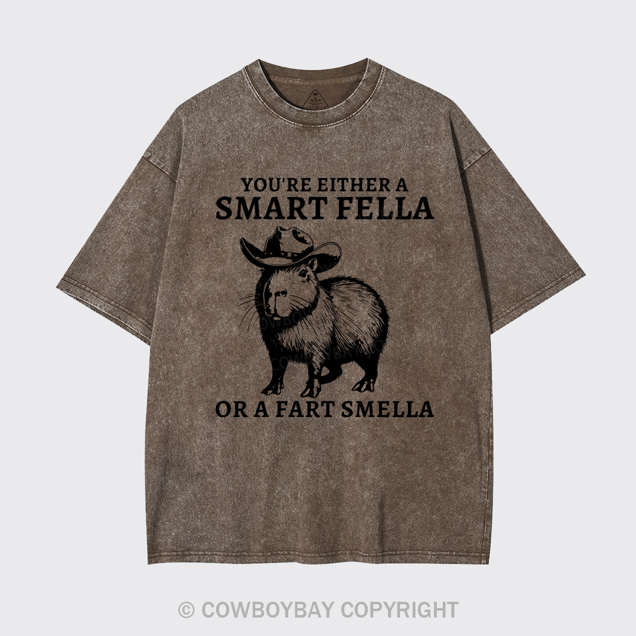 Retro Smart Fella Capybara 90s Garment-dye Tees