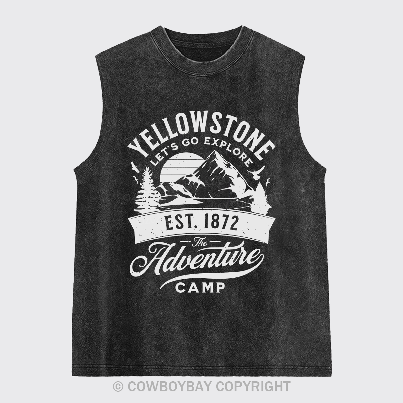 Yellowstone Let's Explore Washed Tanks