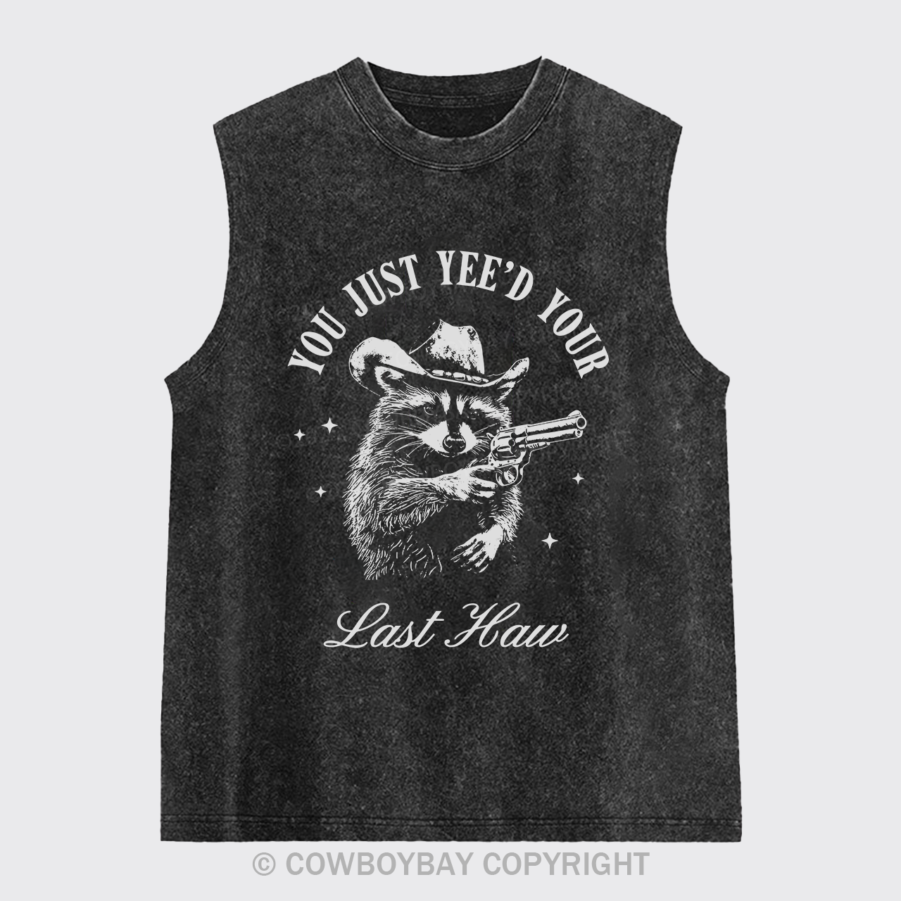 Western Raccoons Can Shoot Washed Tanks