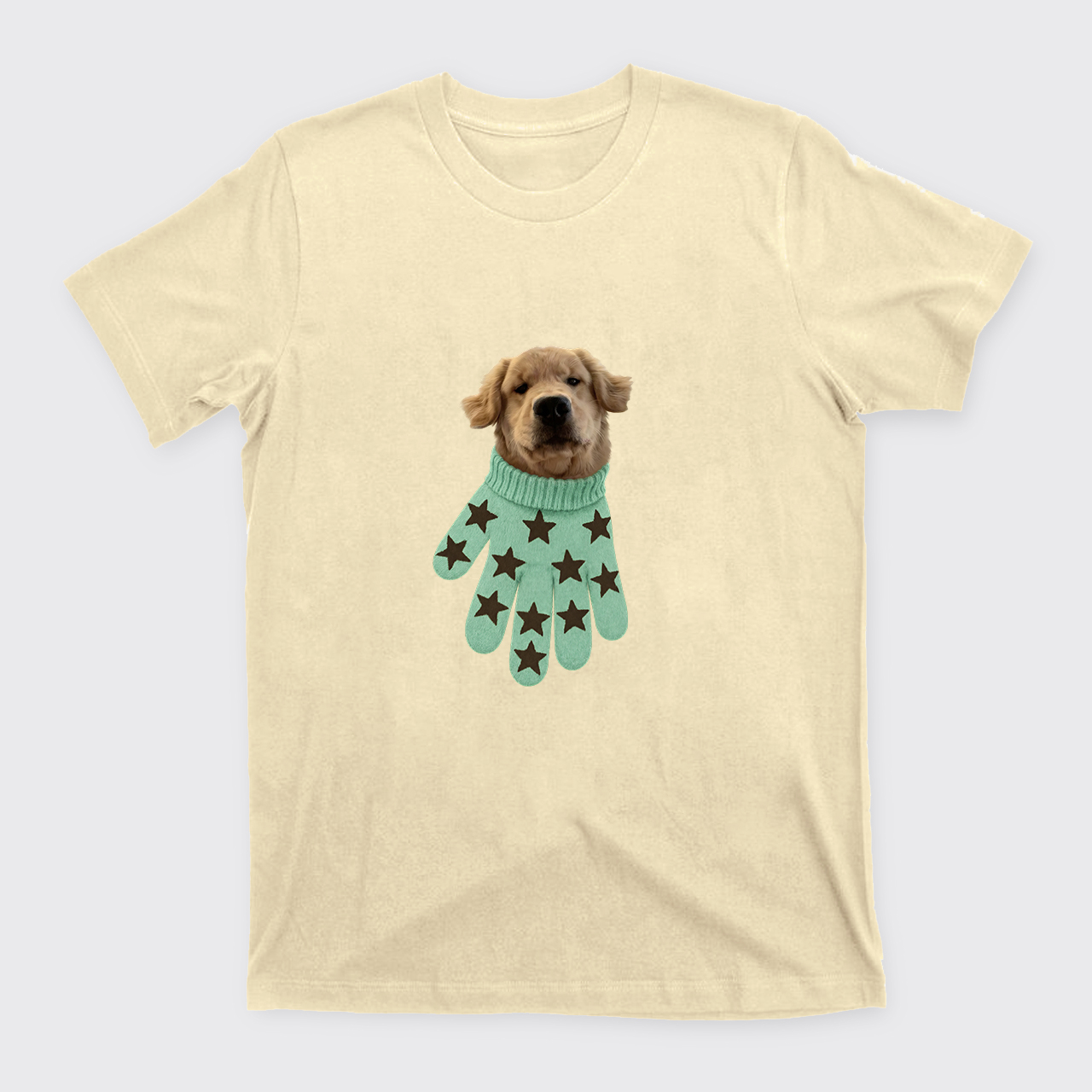 Personalized Pet in a Glove T-Shirts