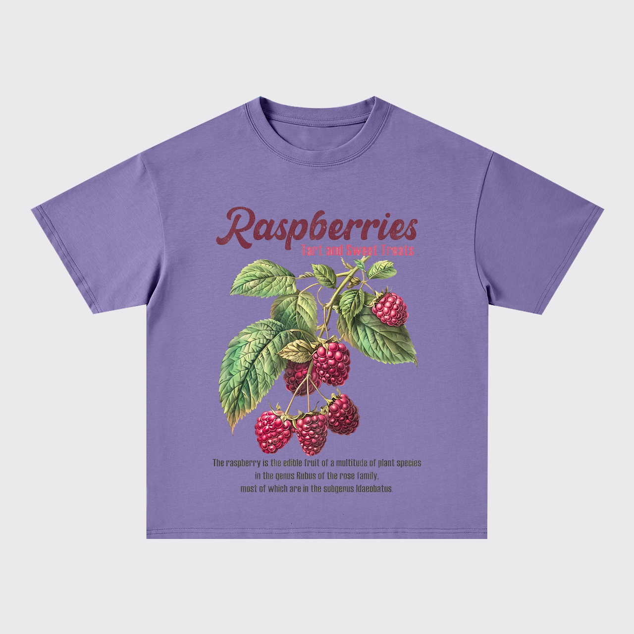 Retro Style-Fresh Raspberries Oversize T-Shirts