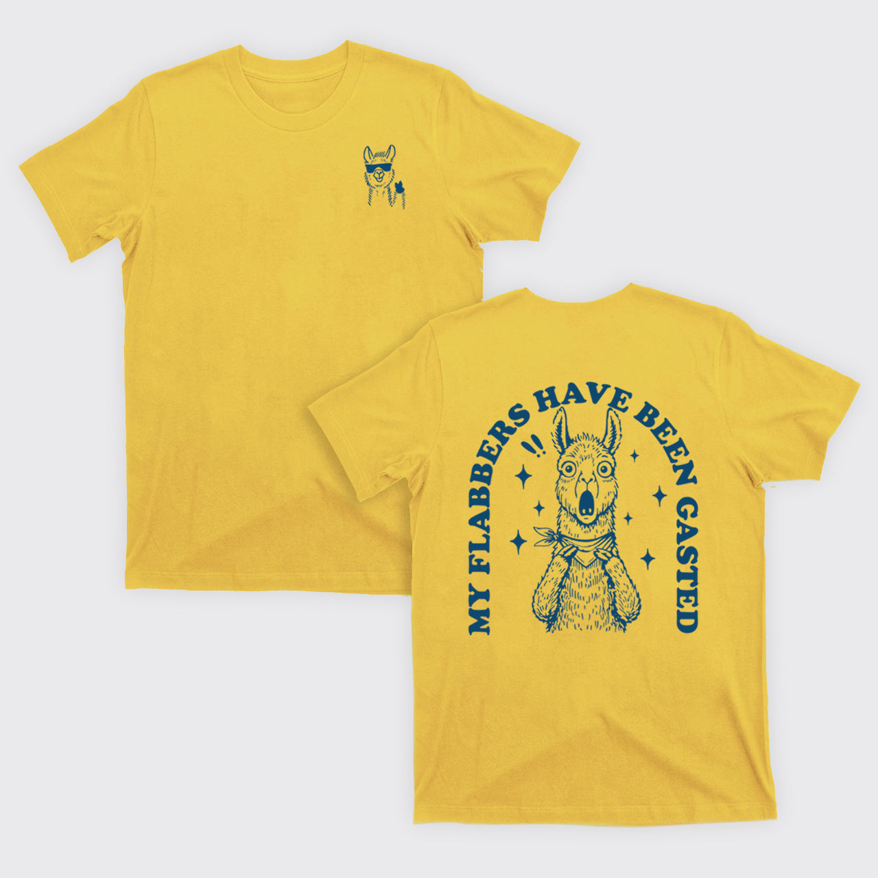 Snarky Sayings-My Flabbers Have Been Gasted T-Shirts