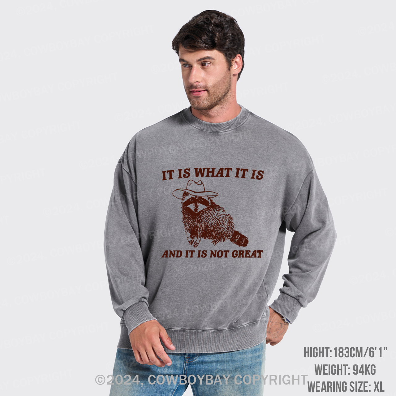 It Is What It Is And It Is Not Great Washed Sweatshirts