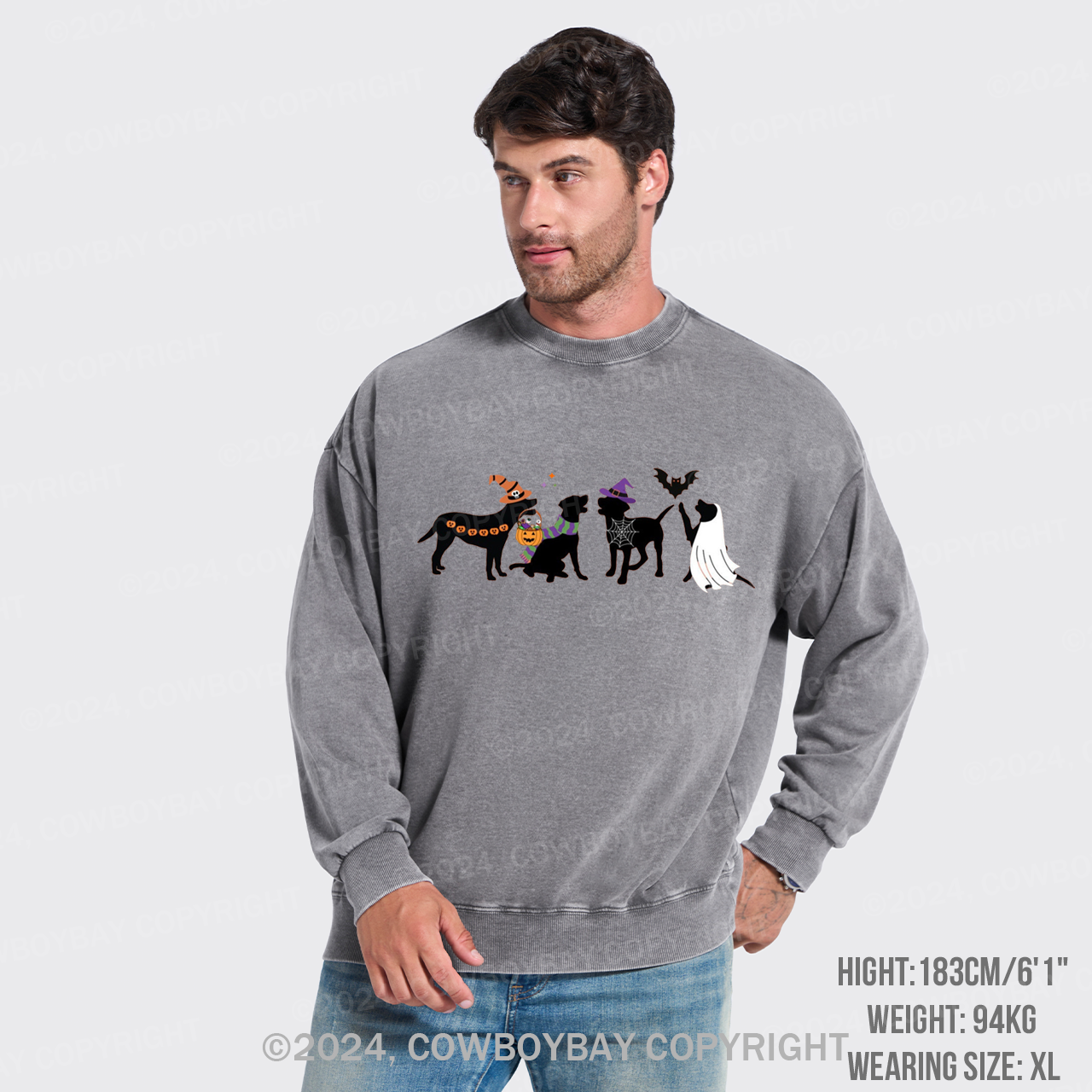 Halloween Dog Washed Sweatshirts