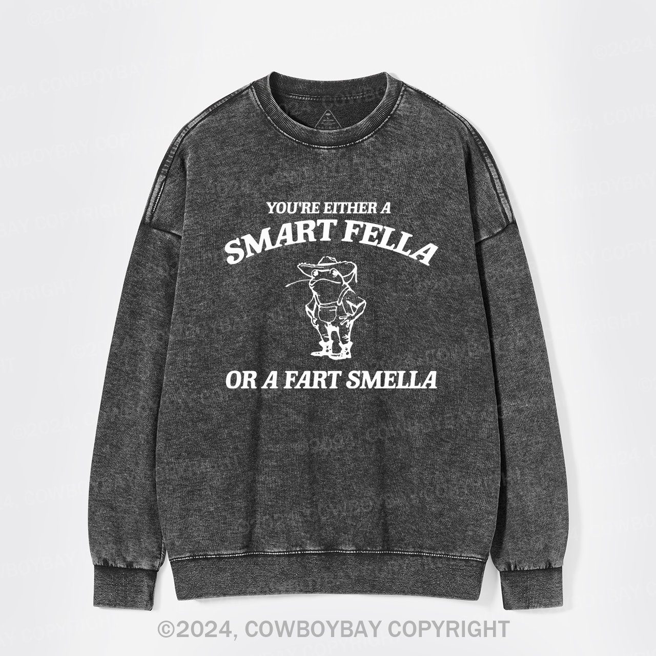 Are You A Smart Fella Or Fart Smella Washed Sweatshirts