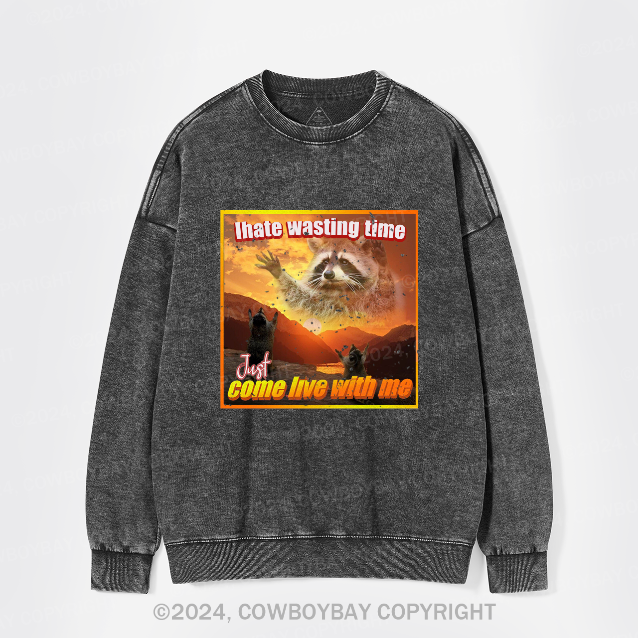 I Hate Wasting Time Just Come Live With Me Washed Sweatshirts