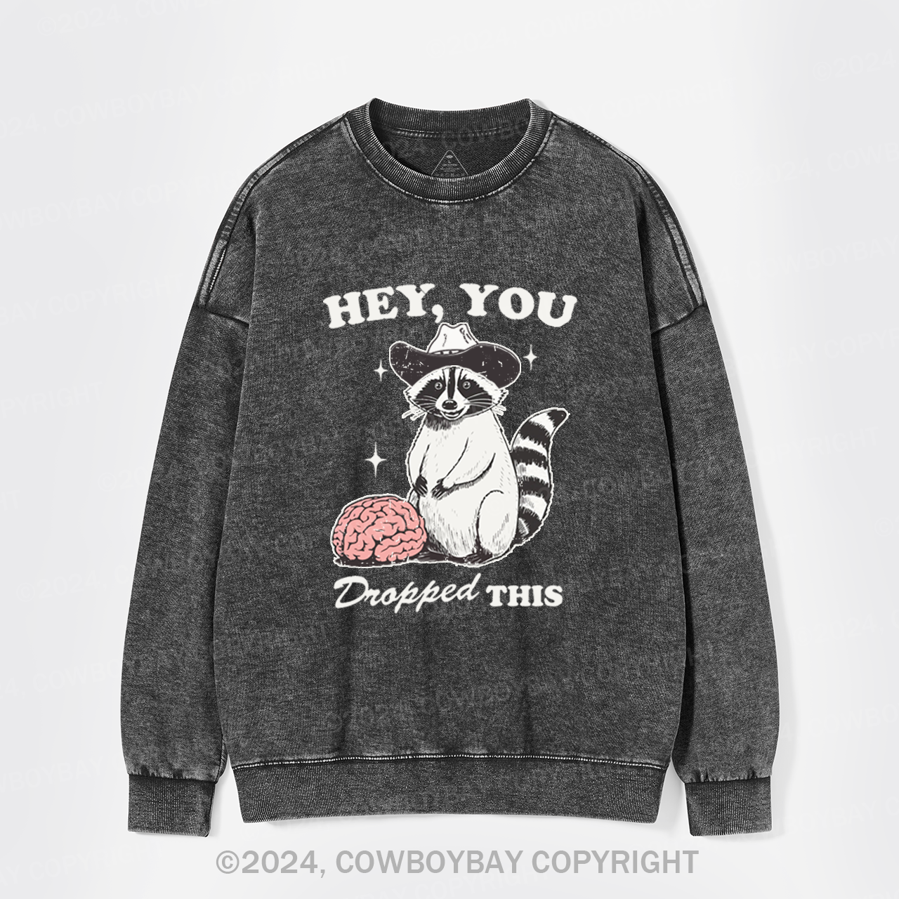 Hey, You Dropped This Washed Sweatshirts