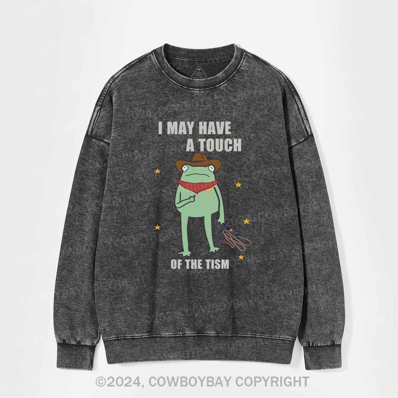 I May Have A Touch Of The Tism Washed Sweatshirts