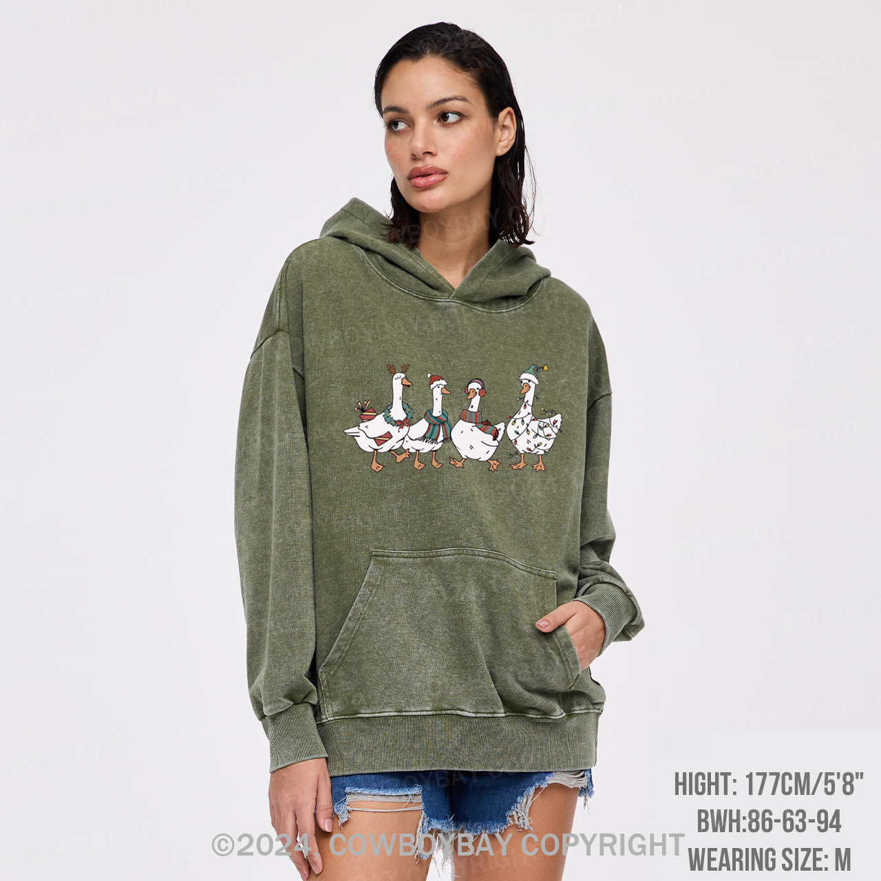 Christmas Silly Goose Garment-Dye Hoodies