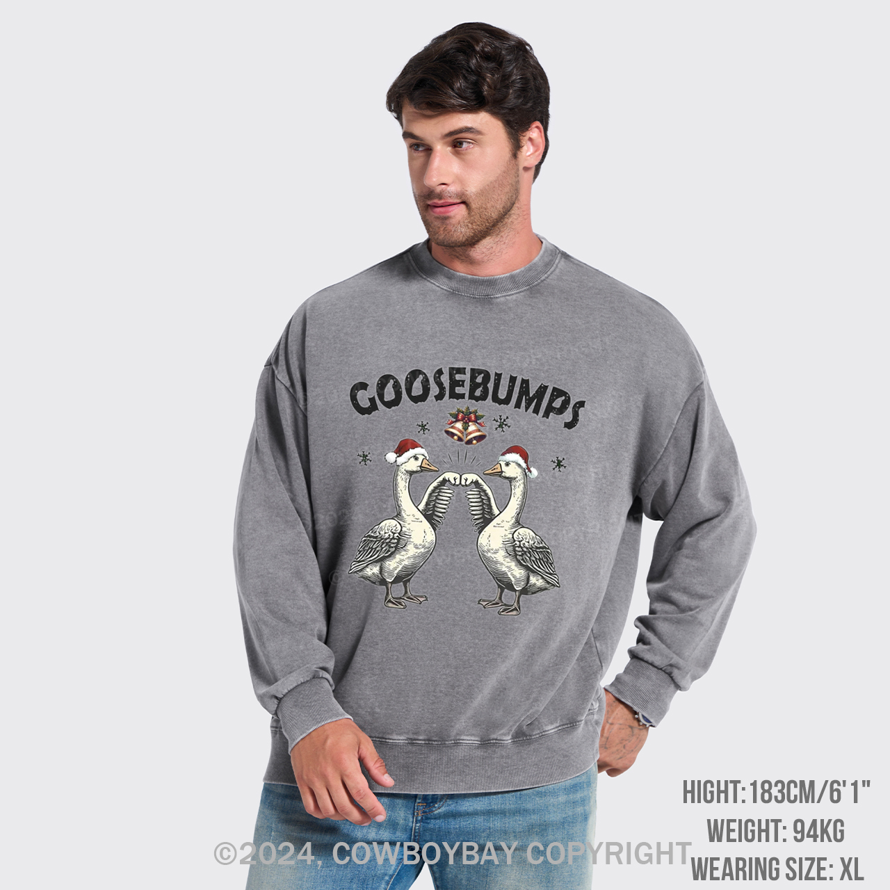 Goose Bumps For Christmas Washed Sweatshirts