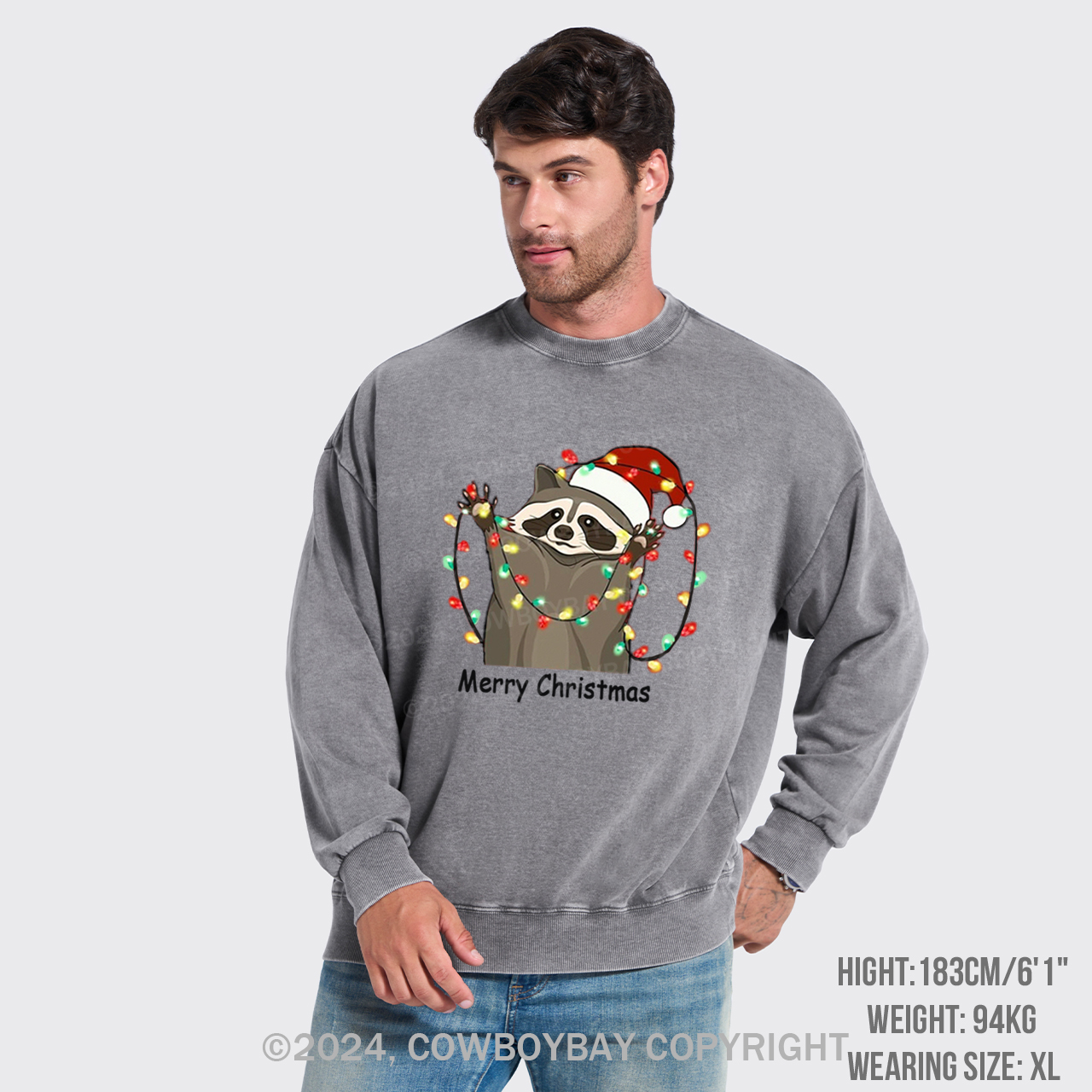 Christmas Racoon Washed Sweatshirts