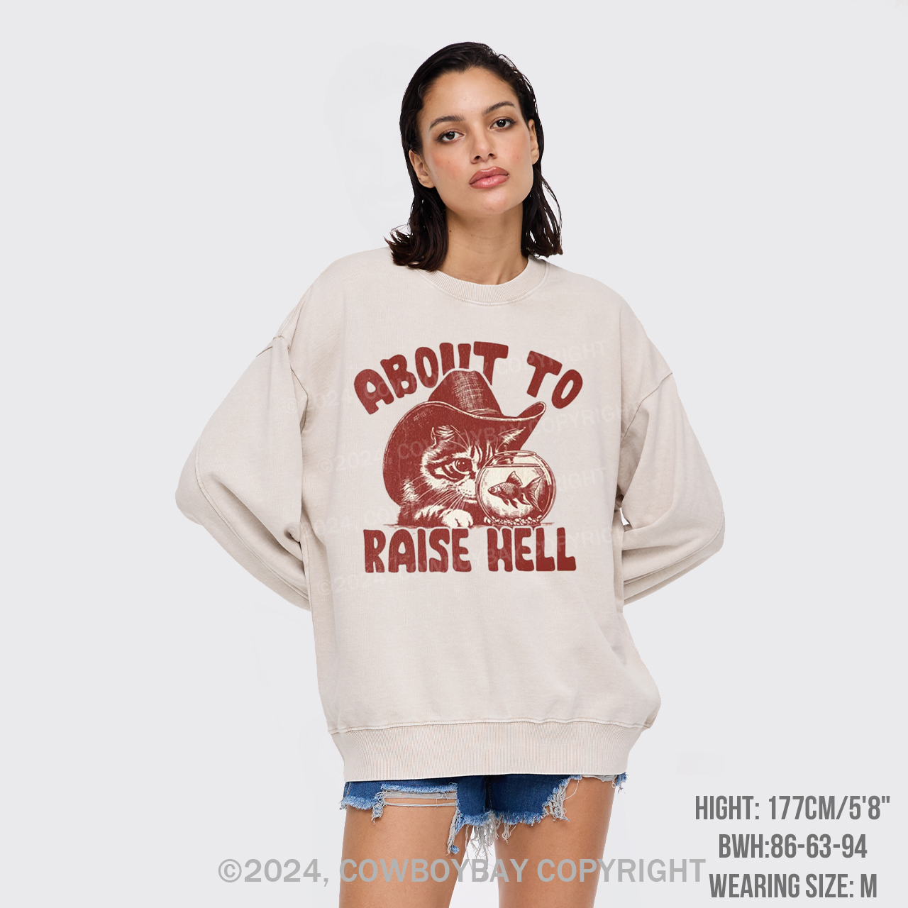 About To Raise Hell Washed Sweatshirts