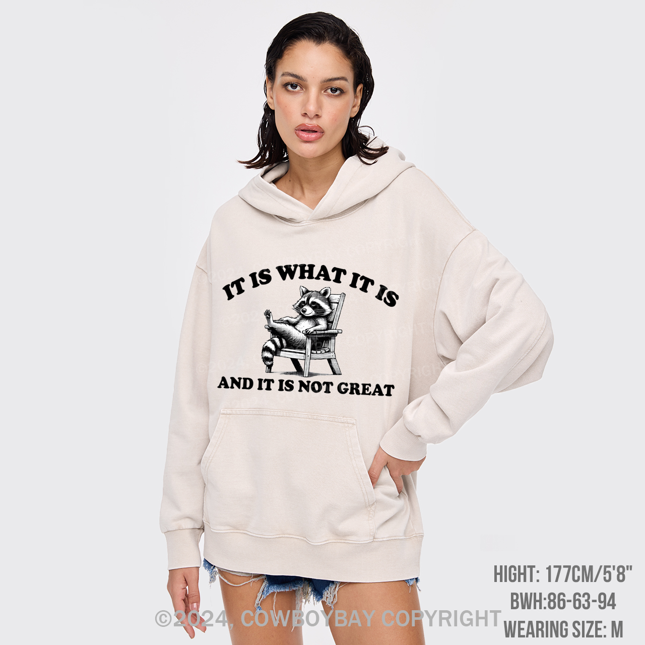 It Is What It Is And It Is Not Great Garment-Dye Hoodies