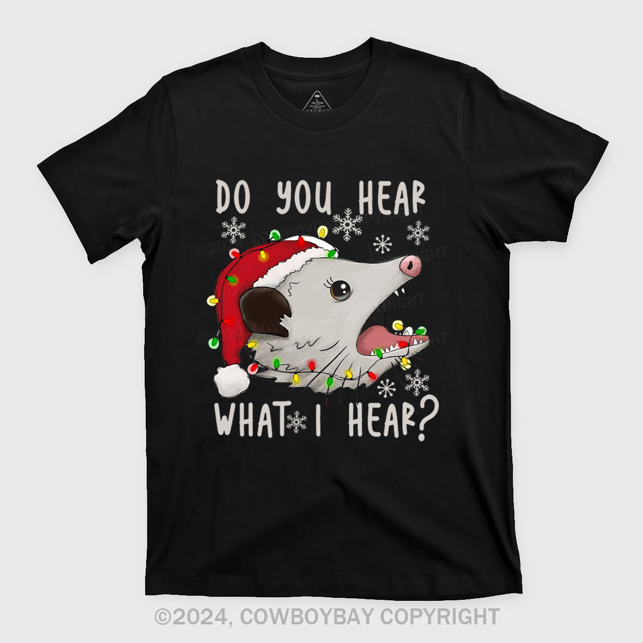 Do You Hear What I Hear T-Shirts