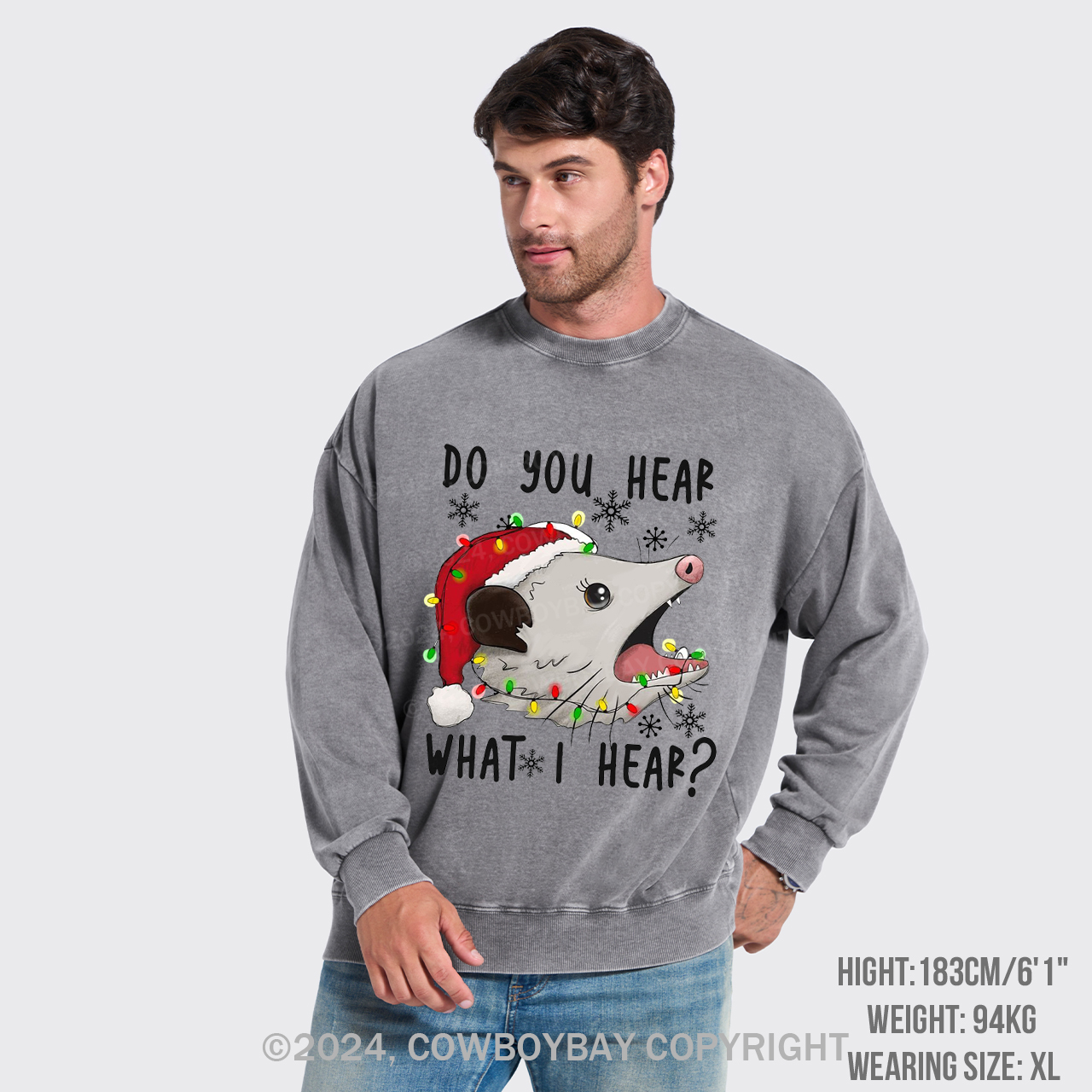 Do You Hear What I Hear Washed Sweatshirts