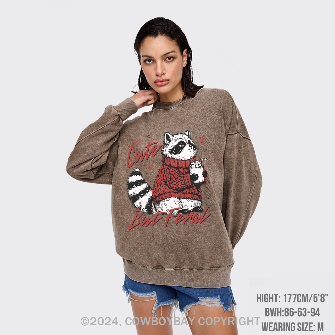 Funny Christmas Raccoon Washed Sweatshirts