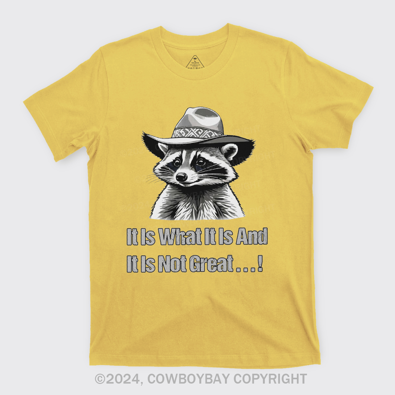 It Is What It Is And It Is Not Great T-Shirts