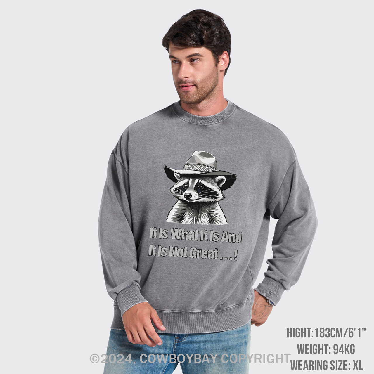 It Is What It Is And It Is Not Great Washed Sweatshirts