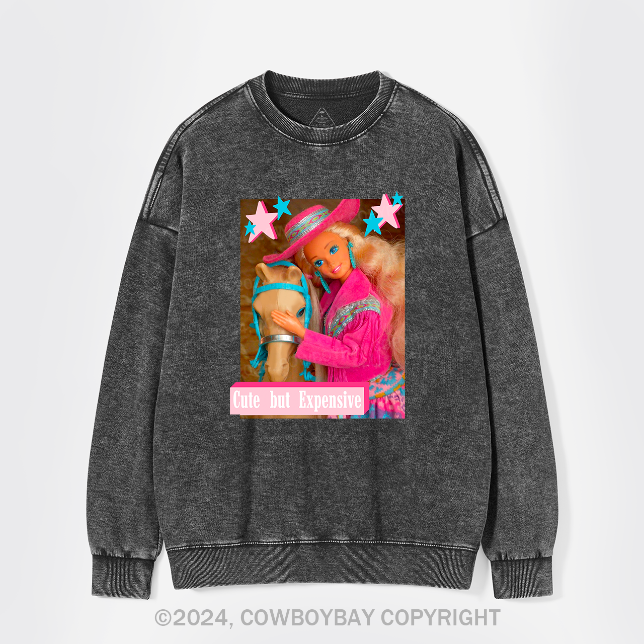 Cute But Expensive Retro Cowboy Washed Sweatshirts