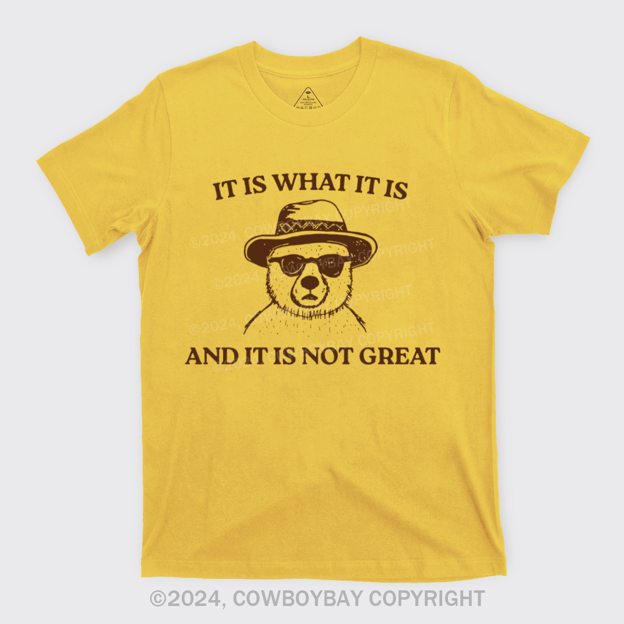 It Is What It Is And It Is Not Great T-Shirts