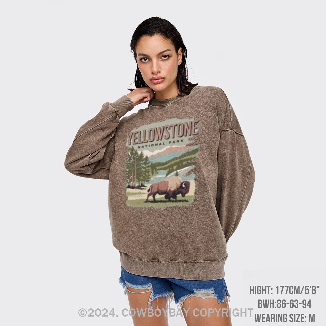 Vintage Yellowstone National Park Washed Sweatshirts