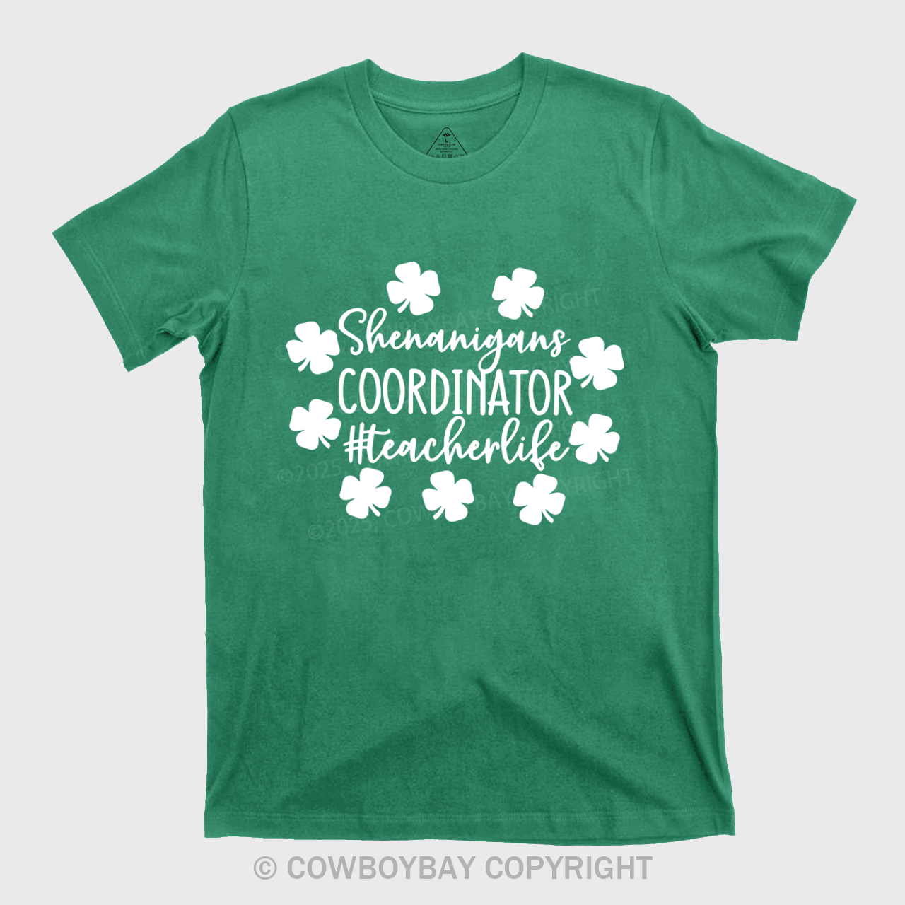 Shenanigans Coordinator Teacherlife T-Shirts