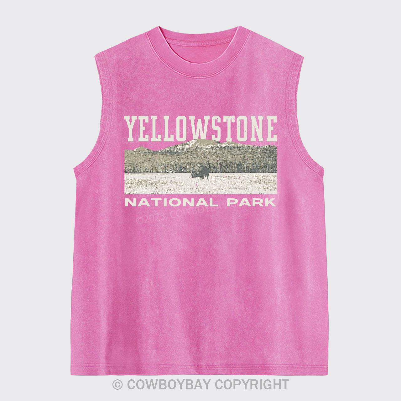 Buffalo Sunset Washed Tanks